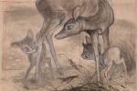 Story Sketches 