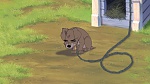 Lady and the Tramp II: Scamp's Adventure picture