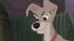 Lady and the Tramp II: Scamp's Adventure picture