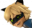 :icon649: