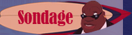 Sondage