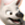 :icon368: