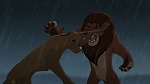 The Lion King 2 : Simba's Pride picture The Lion King 2 : Simba's Pride picture