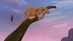 The Lion King 2 : Simba's Pride picture