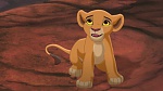 The Lion King 2 : Simba's Pride picture