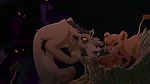 The Lion King 2 : Simba's Pride picture