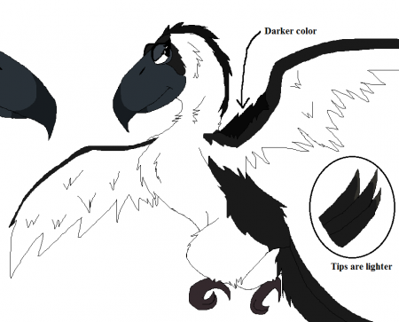 Detail Altaria (DakotaWereWolf) Detail Altaria (DakotaWereWolf)