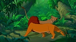 The Lion King picture