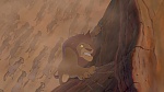The Lion King picture