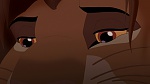 The Lion King 2 : Simba's Pride picture