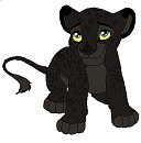She's a black Cheetah