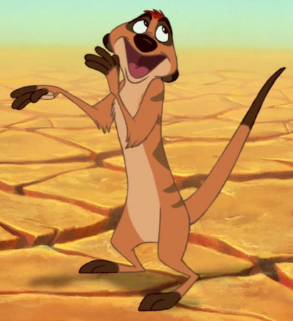 Detail Timon