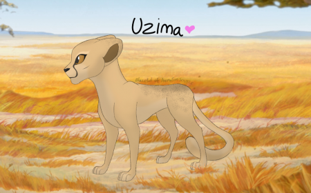Detail Uzima