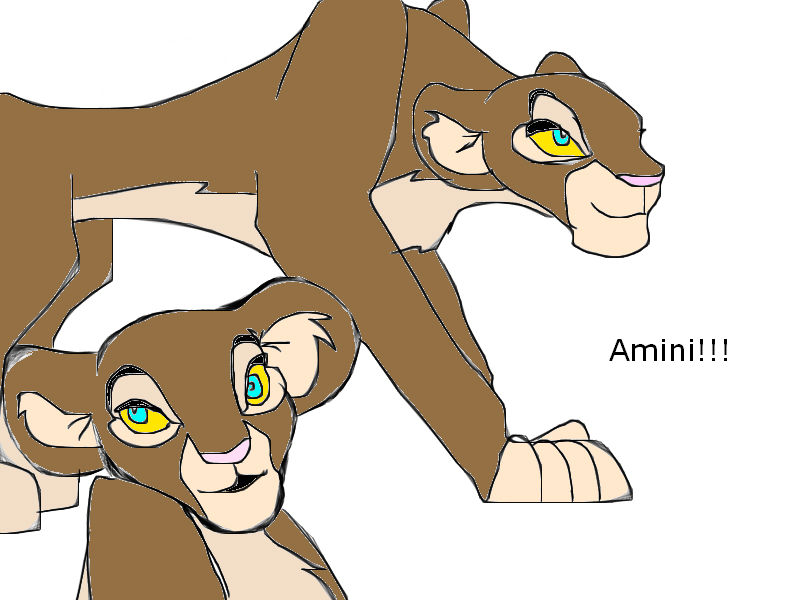 amini.jpg