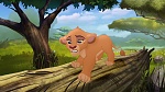 The Lion King :  picture