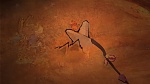 The Lion King : Lion Guard: Return Of The Roar picture