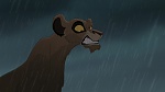 The Lion King 2 : Simba's Pride picture