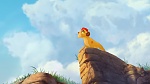 The Lion King :  picture