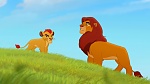 The Lion King :  picture