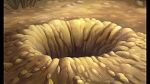 The Lion King 1 1/2 : Hakuna Matata picture