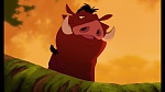 The Lion King 1 1/2 : Hakuna Matata picture