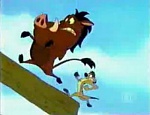 Timon & Pumbaa picture