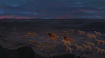 The Lion King 2 : Simba's Pride picture