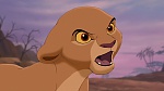 The Lion King 2 : Simba's Pride picture