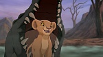 The Lion King 2 : Simba's Pride picture