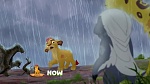 The Lion King : Bunga the Wise picture