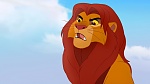 The Lion King :  picture