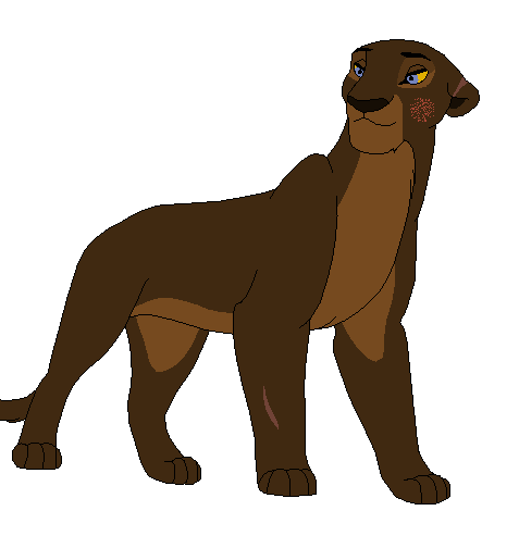 petra.png