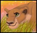 Nala on the Prowl