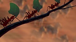 The Lion King picture