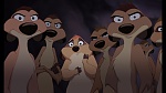The Lion King 1 1/2 : Hakuna Matata picture