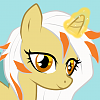 Camomile Orange Camomile Orange