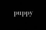 Puppy Screenshots