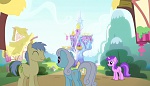 Season 5 picture