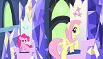 Season 5 picture