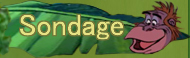 Sondage
