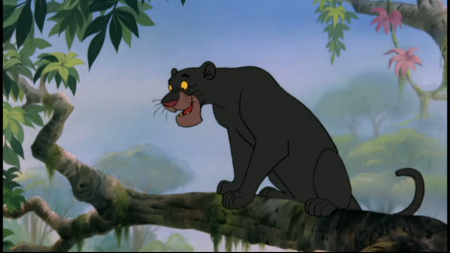 Detail Bagheera