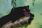 Pr�sentation g�n�rale de Le livre de la Jungle : souvenirs d'enfance