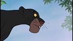 Image The Jungle Book
