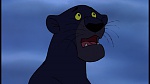 Image The Jungle Book