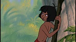 Image The Jungle Book