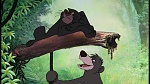 Image The Jungle Book