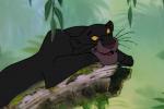 Pr�sentation g�n�rale de Le Livre de la Jungle 2