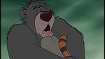 Image The Jungle Book