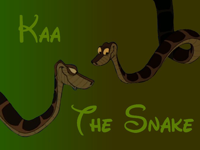 Kaa