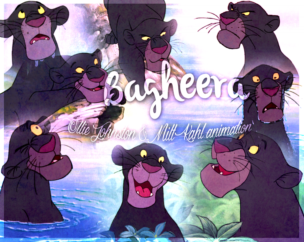 50ans - Bagheera - Johnston et Kahl